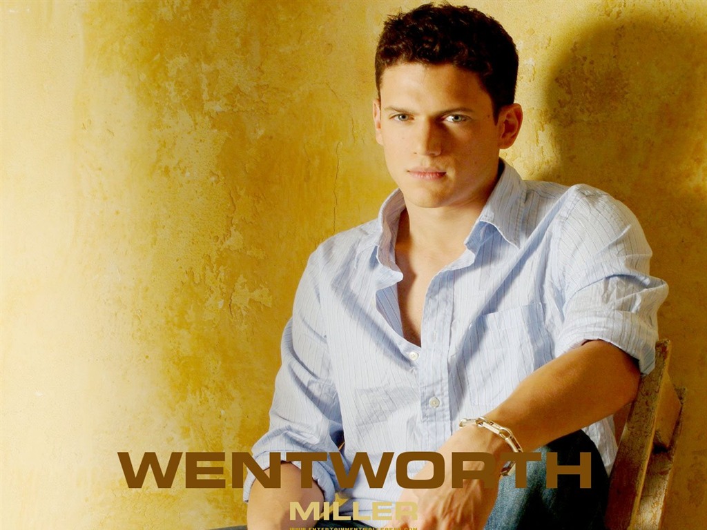 Wentworth Miller обои #7 - 1024x768