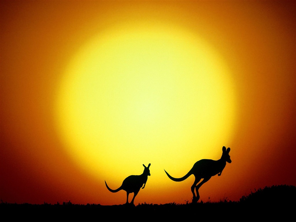 Vlastnosti nádherné scenérii Austrálie #18 - 1024x768
