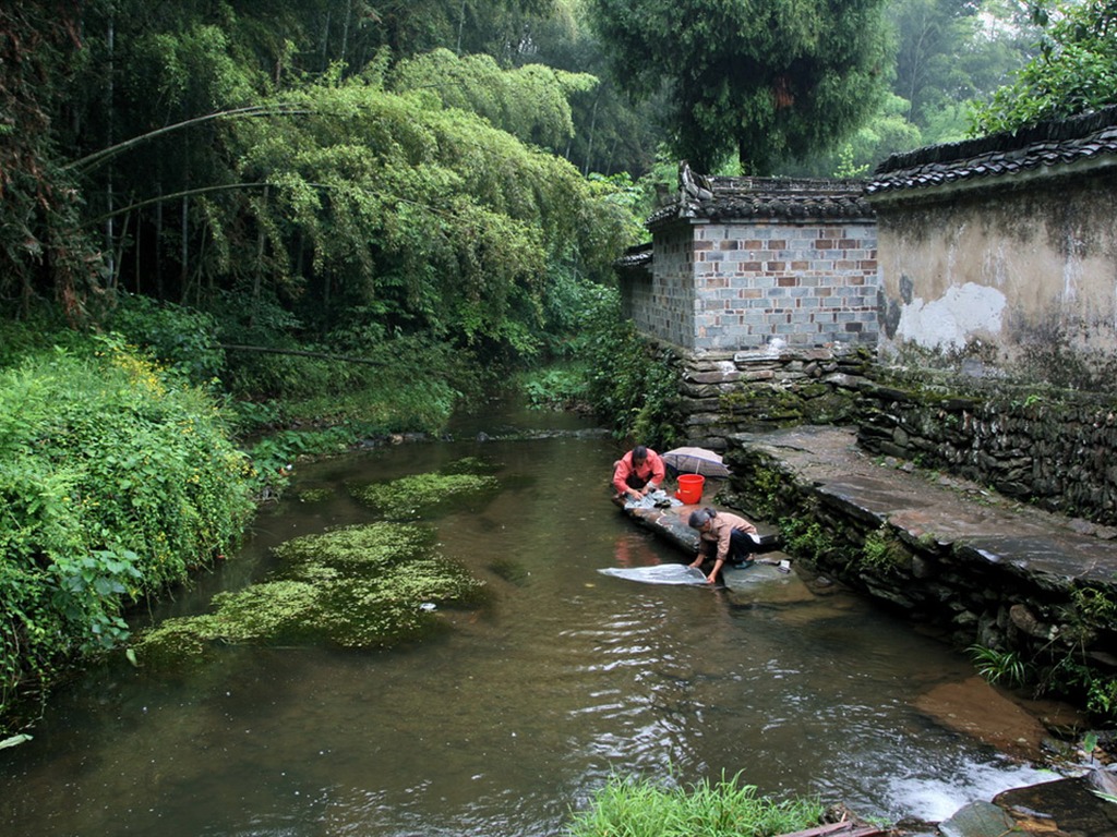 Wuyuan v dešti řádku (Minghu Metasequoia práce) #6 - 1024x768