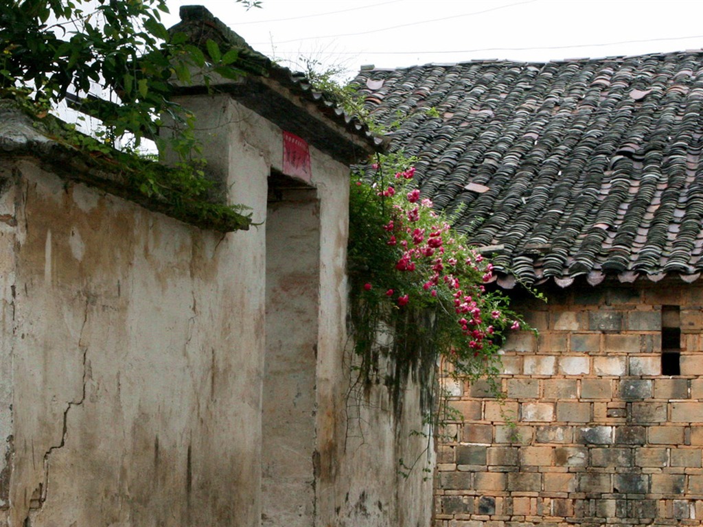Wuyuan en la línea de la lluvia (Minghu obras Metasequoia) #16 - 1024x768