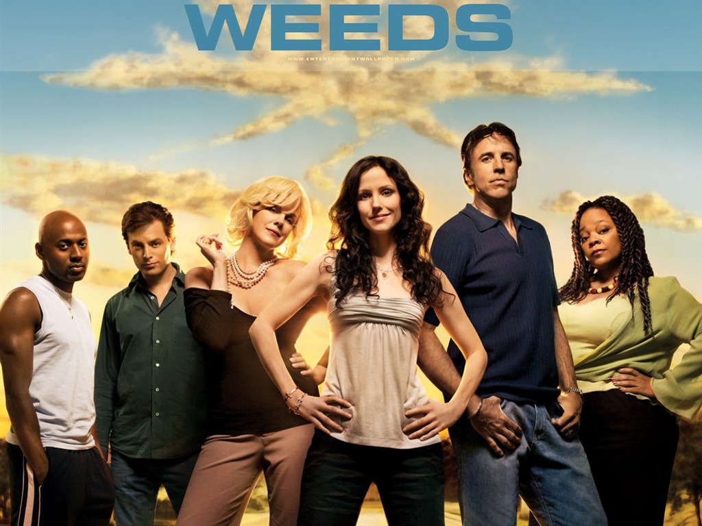 Weeds Tapete #13 - 1024x768