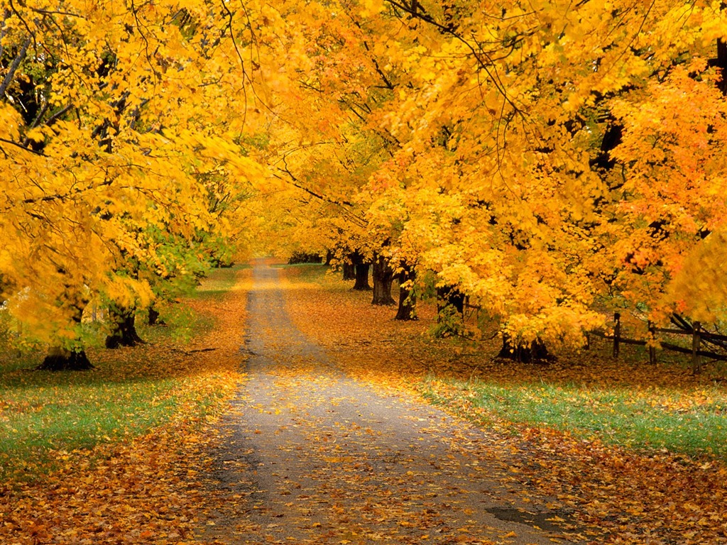 Podzimní krajina krásná tapeta #16 - 1024x768