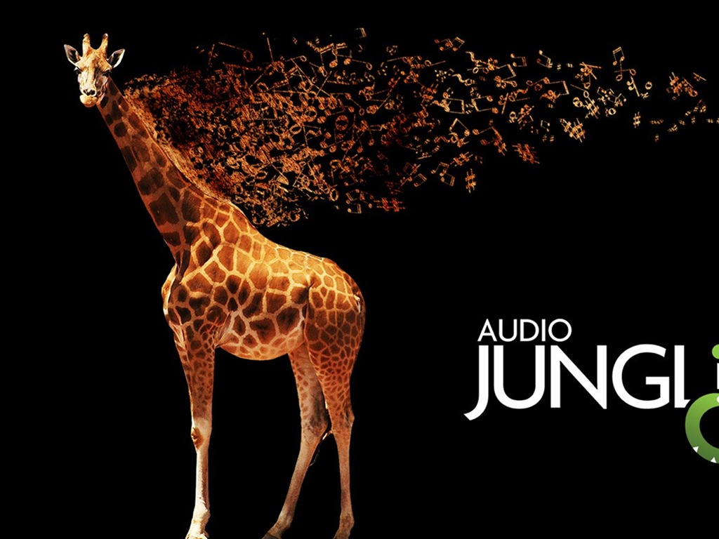 Аудио джунглей Обои Дизайн #11 - 1024x768