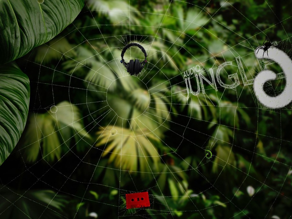Аудио джунглей Обои Дизайн #17 - 1024x768