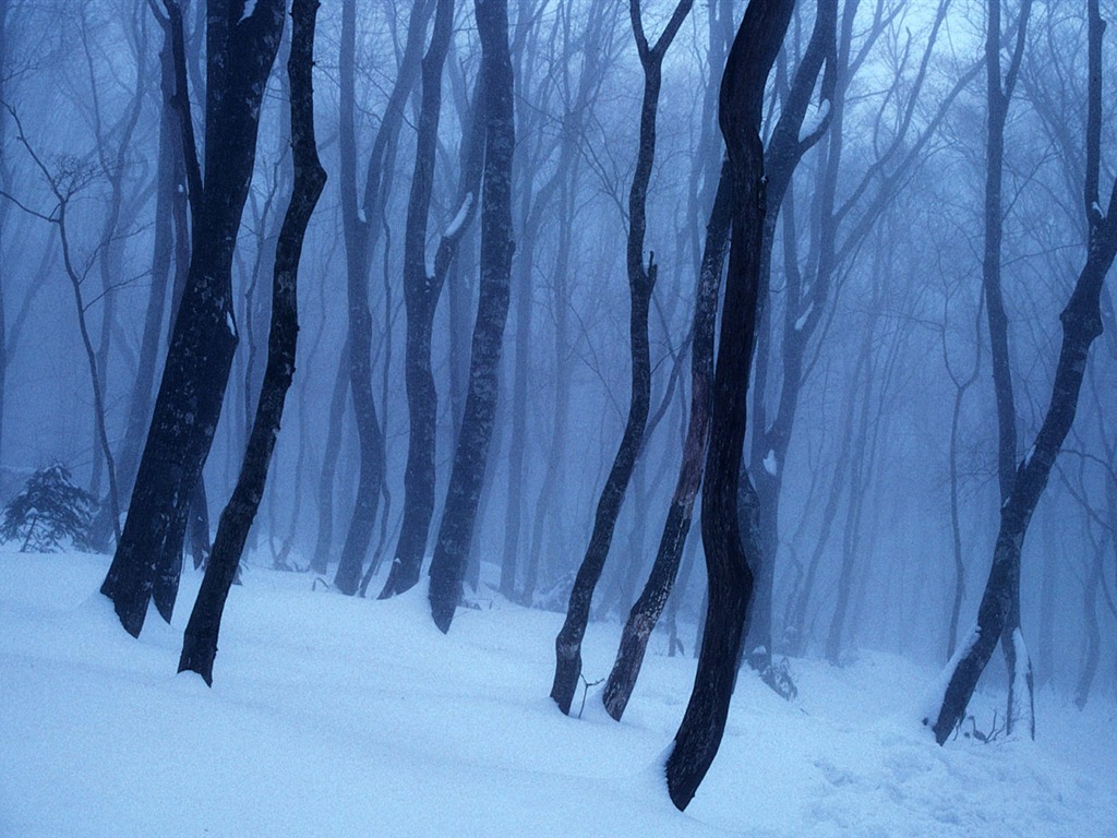  HDの壁紙クールな冬の雪景色 #11 - 1024x768