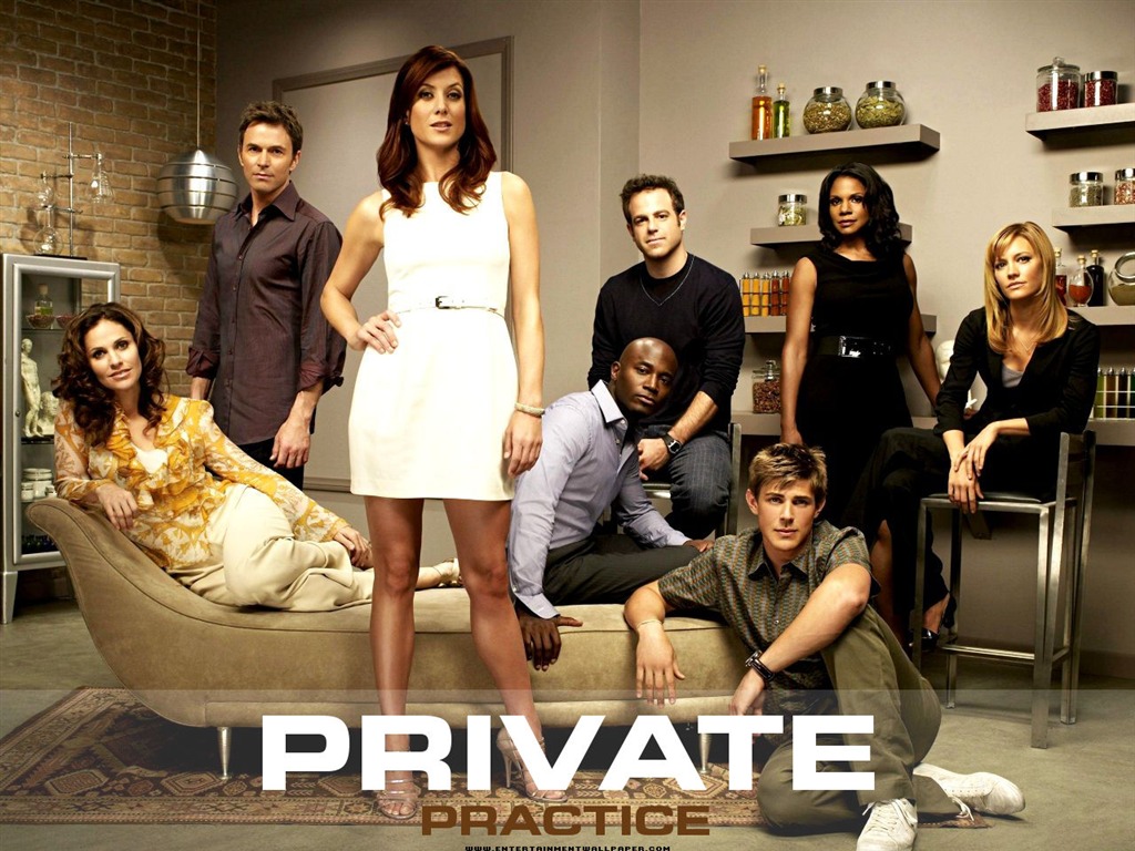 Private Practice 私人诊所1 - 1024x768