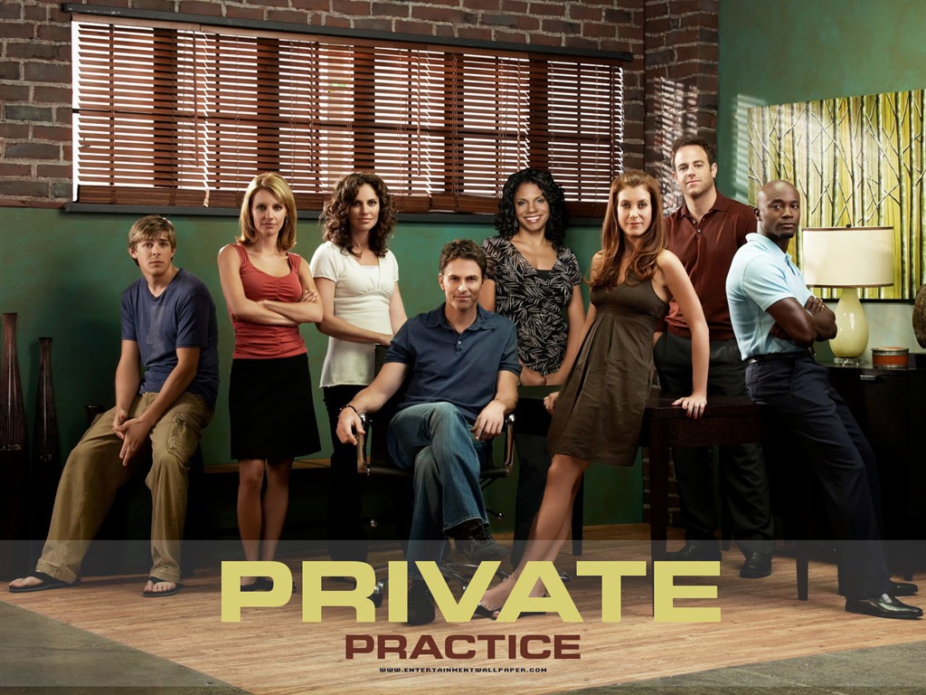 Private Practice 私人诊所2 - 1024x768