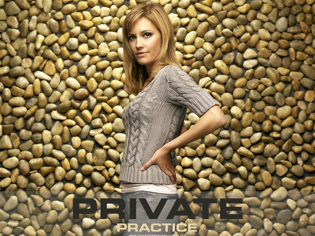 Private Practice fondo de pantalla #5 - 1024x768