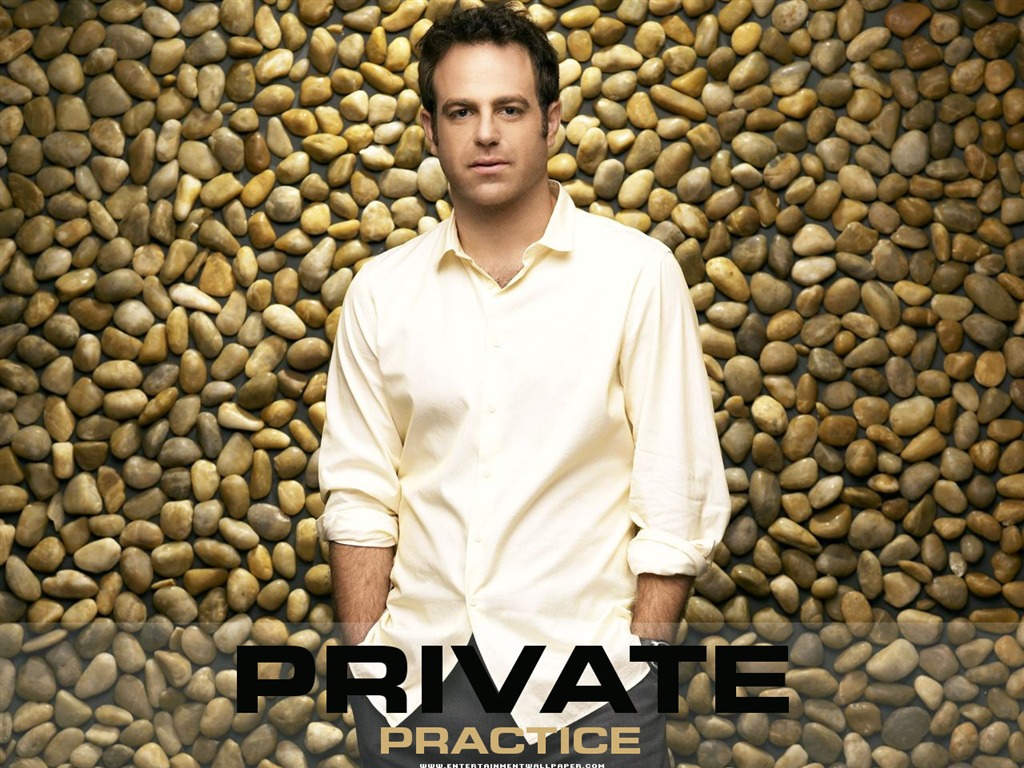 Private Practice fondo de pantalla #10 - 1024x768