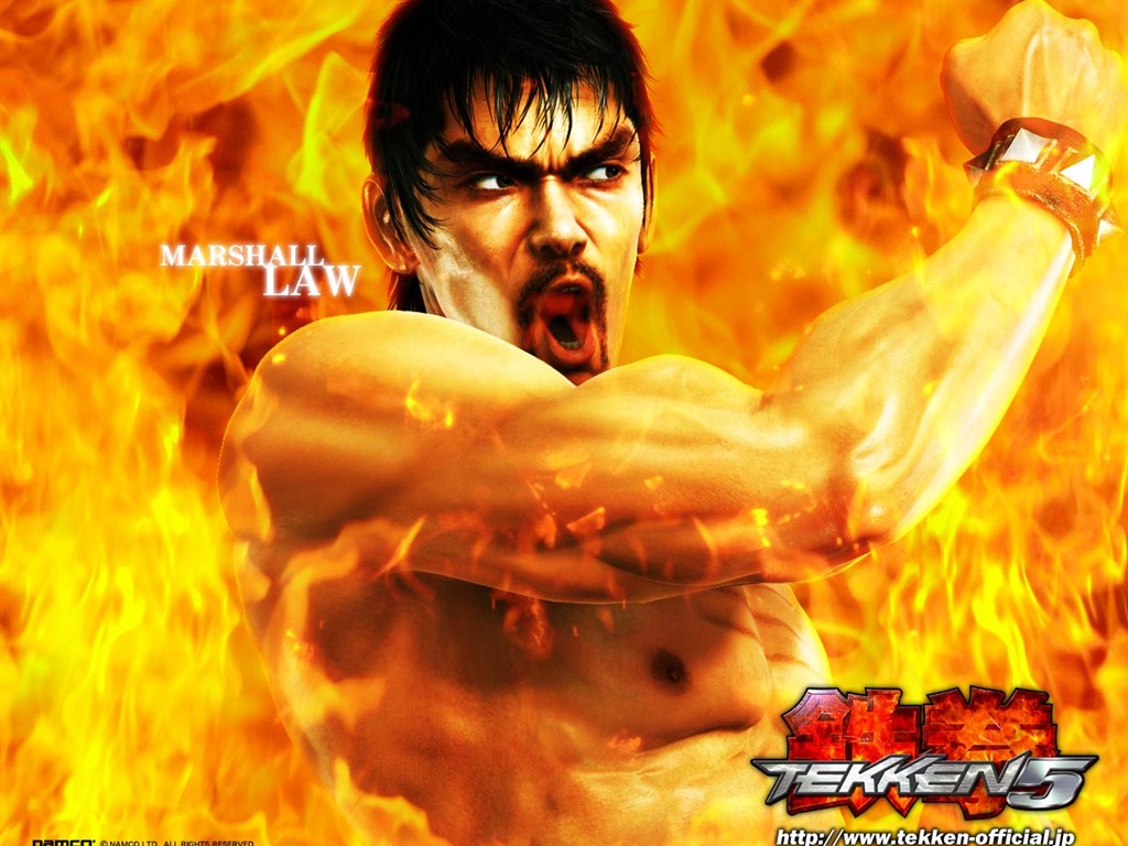 Tekken álbum de fondo de pantalla (3) #18 - 1024x768