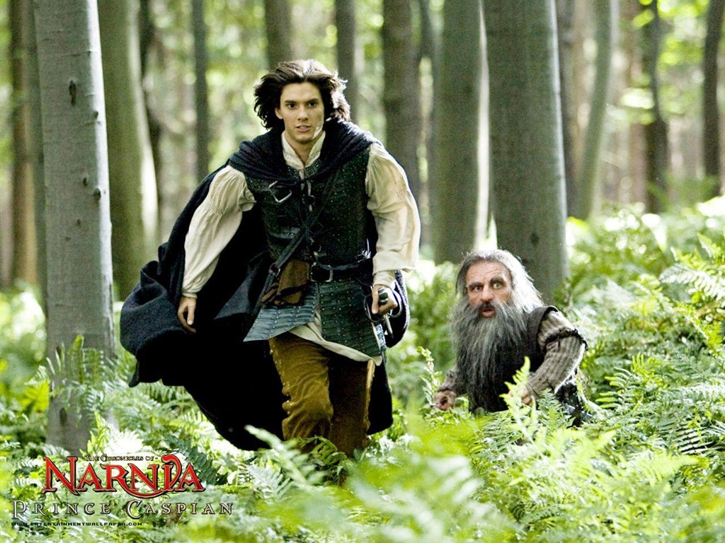 Le Monde de Narnia 2: Prince Caspian #4 - 1024x768
