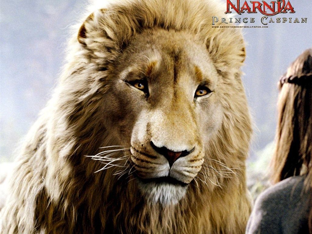 Las Crónicas de Narnia 2: El Príncipe Caspian #5 - 1024x768