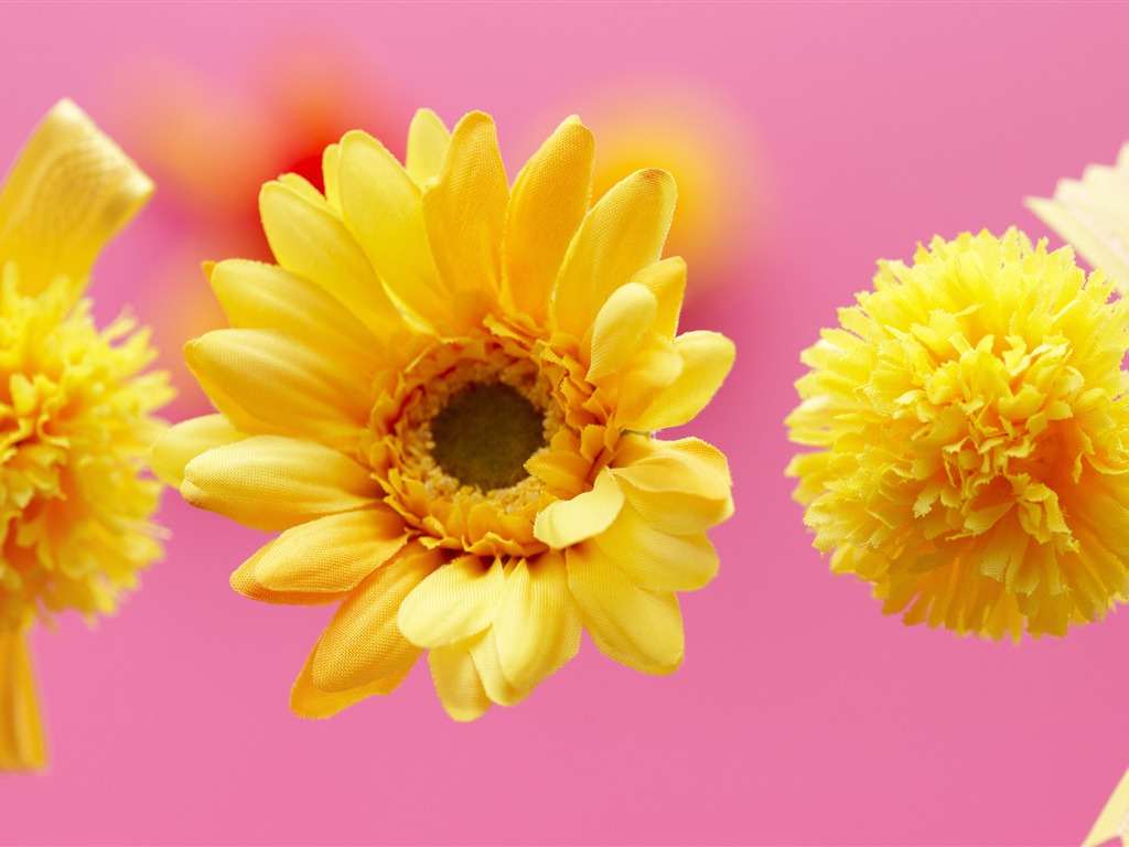 Flowers Gifts HD Wallpapers (2) #15 - 1024x768