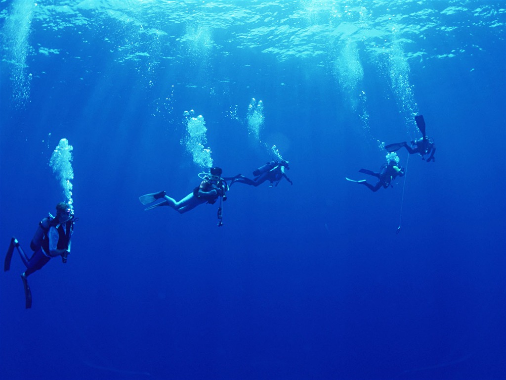 深蓝海底世界壁纸2 - 1024x768