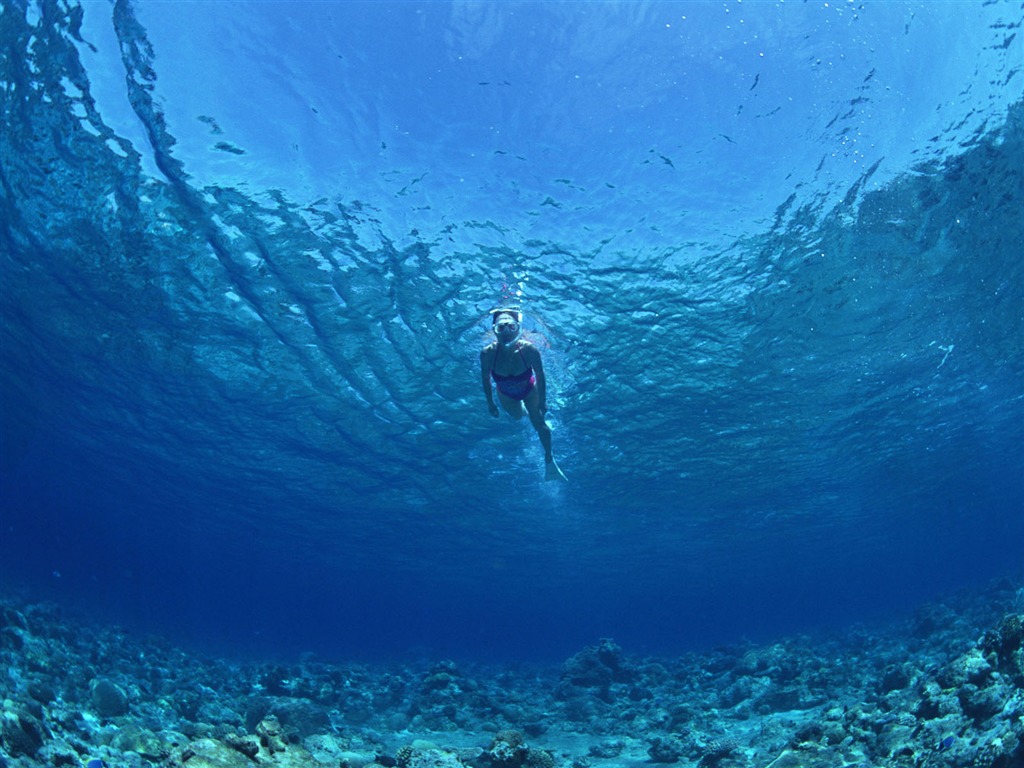 Deep Blue Underwater World Wallpaper #27 - 1024x768
