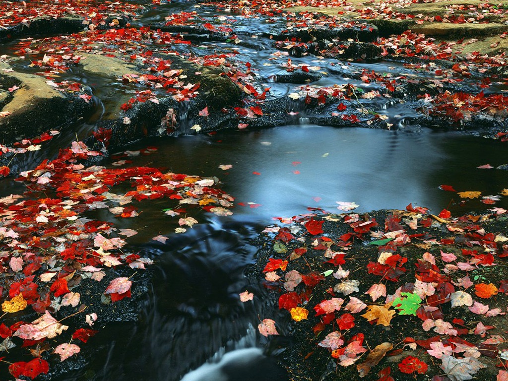 krásné přírodní scenérie Tapety na plochu (4) #27 - 1024x768