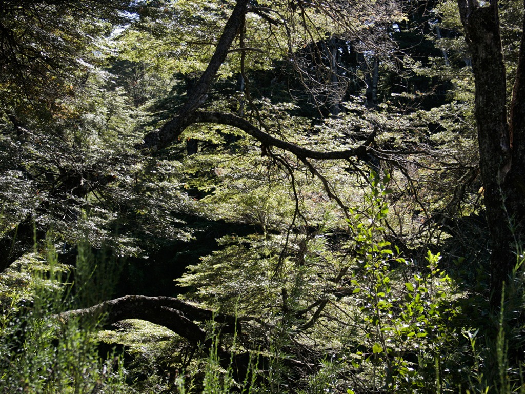 Patagonia přírodní scenérie Tapeta #8 - 1024x768