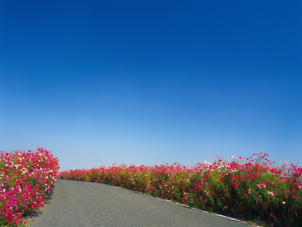 道路寫真壁紙 #19 - 1024x768