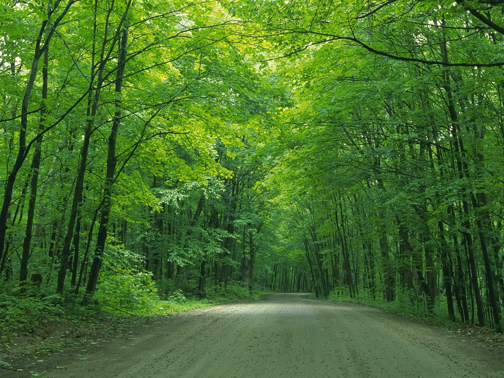 ロード写真の壁紙 #26 - 1024x768