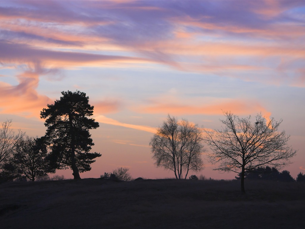 Glow du coucher du soleil HD Wallpaper exquise (1) #10 - 1024x768