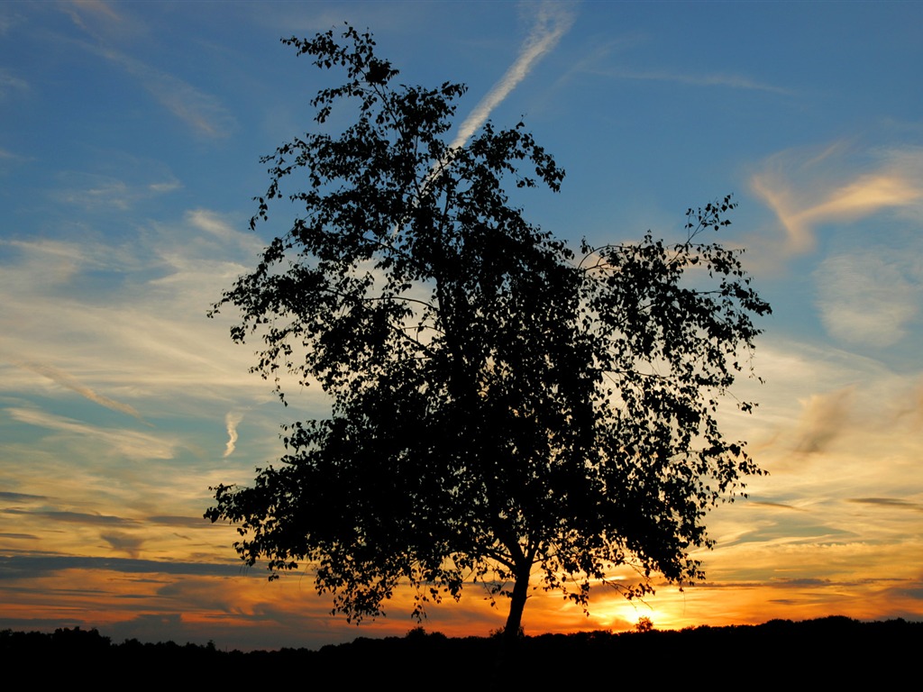 Glow du coucher du soleil HD Wallpaper exquise (1) #38 - 1024x768