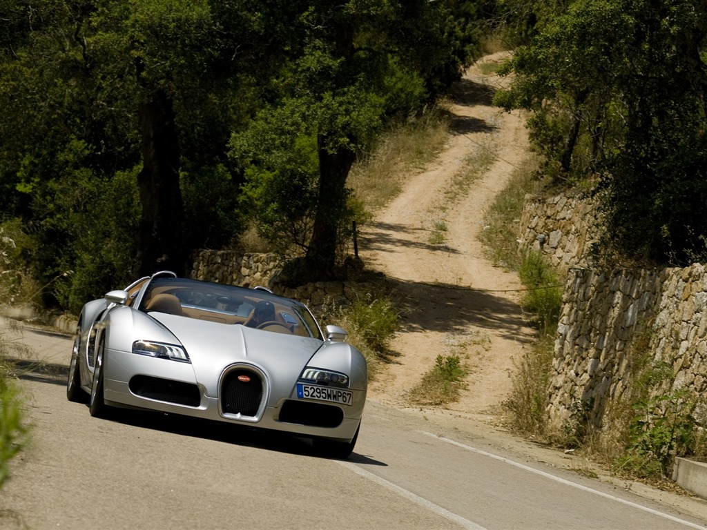 Bugatti Veyron Tapeta Album (1) #13 - 1024x768