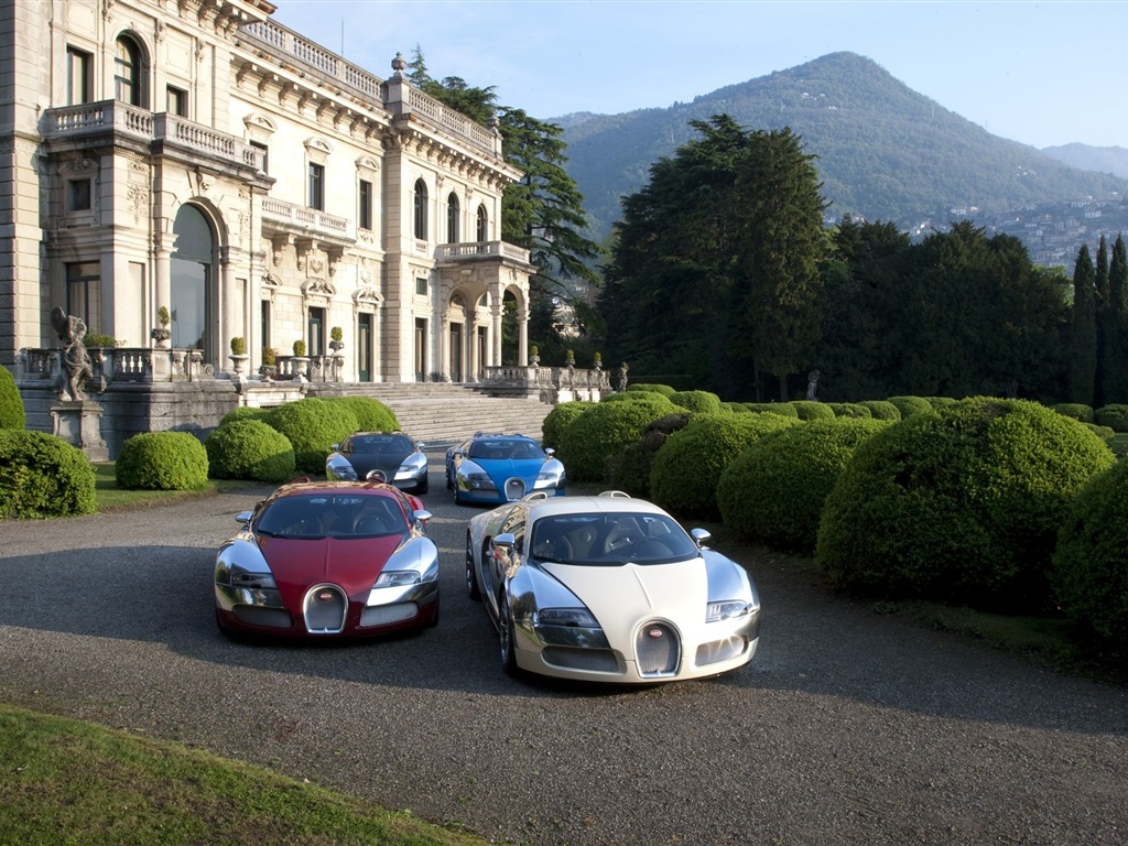 Bugatti Veyron Wallpaper Album (2) #13 - 1024x768