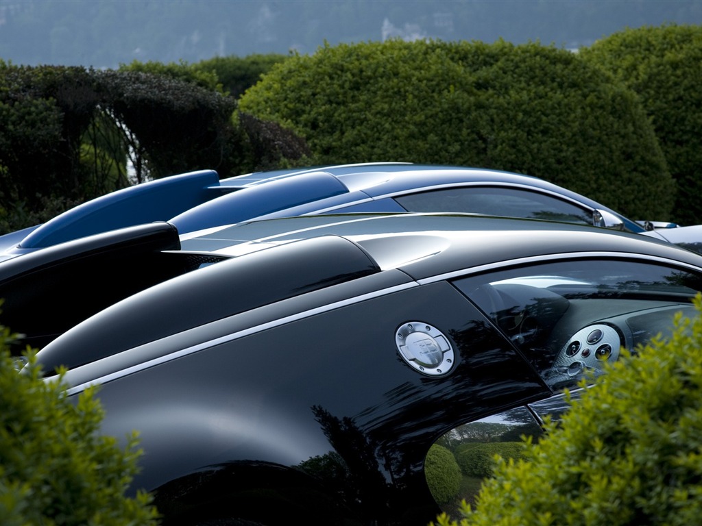 Bugatti Veyron Wallpaper Album (2) #16 - 1024x768