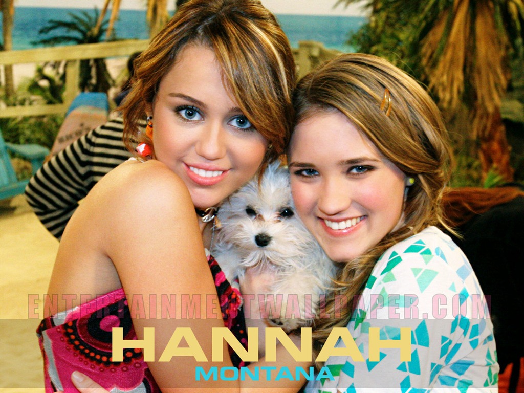 Hannah Montana wallpaper #1 - 1024x768