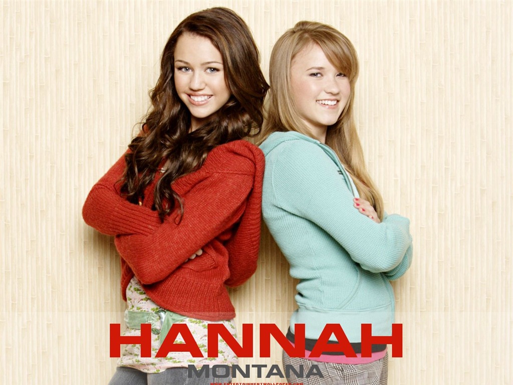 Hannah Montana wallpaper #9 - 1024x768