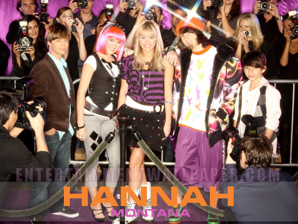 Hannah Montana wallpaper #15 - 1024x768