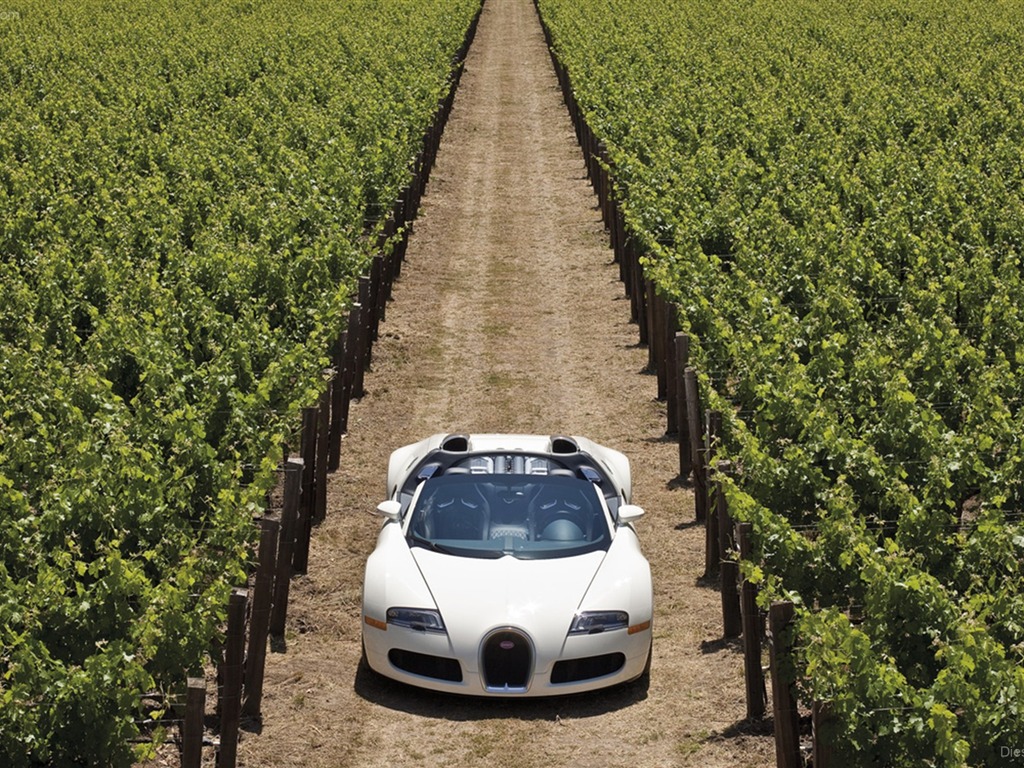 Bugatti Veyron обои Альбом (3) #3 - 1024x768