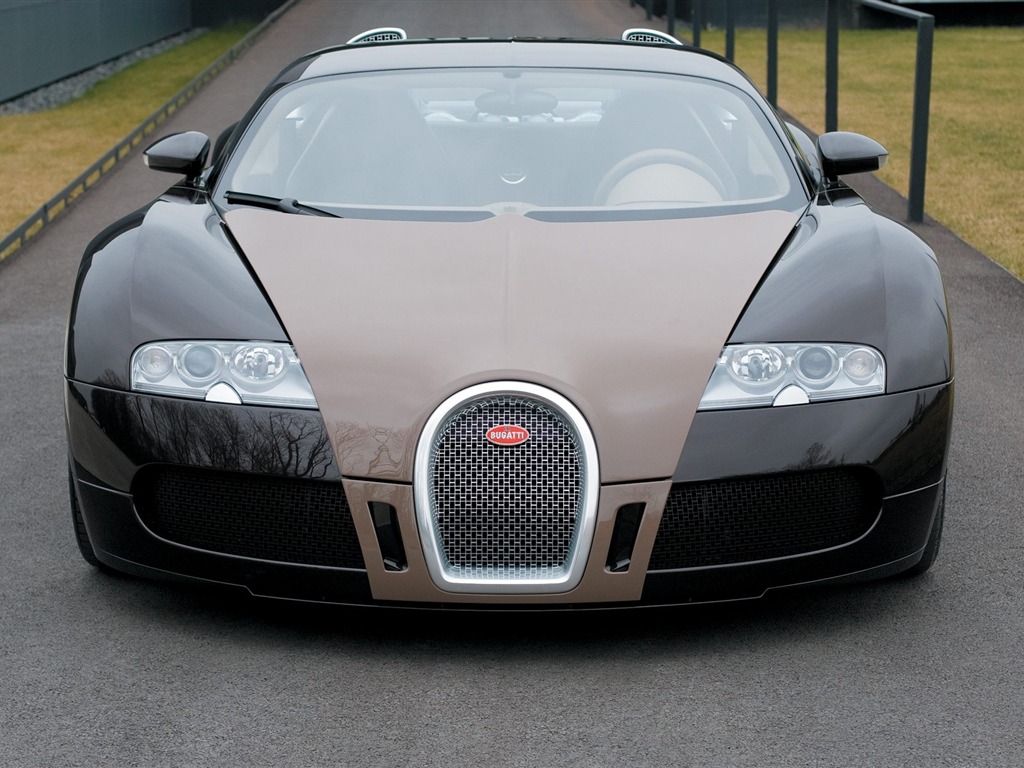 Bugatti Veyron обои Альбом (3) #8 - 1024x768