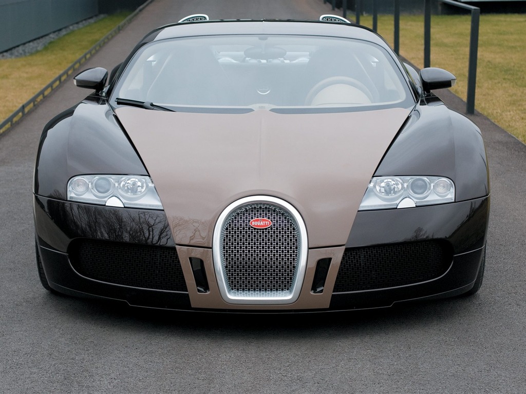 Bugatti Veyron Wallpaper Album (3) #8 - 1024x768