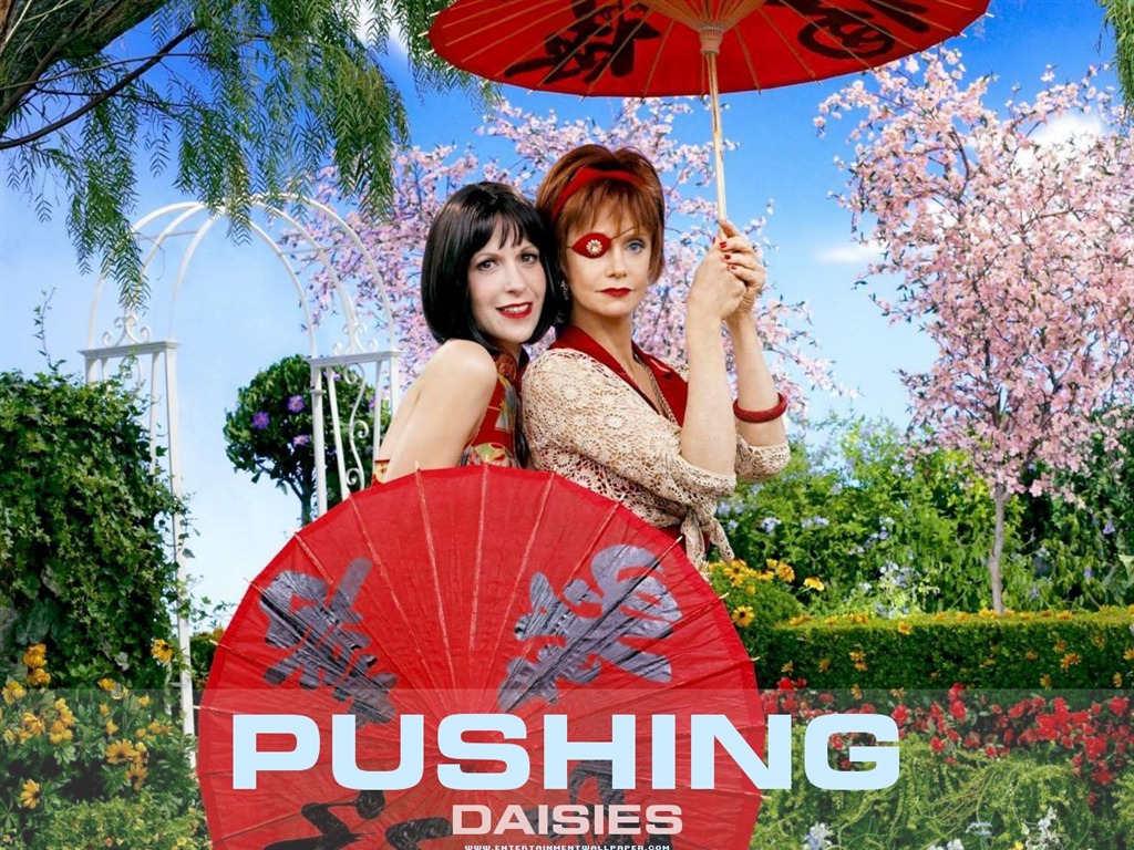 Pushing Daisies 灵指神探7 - 1024x768