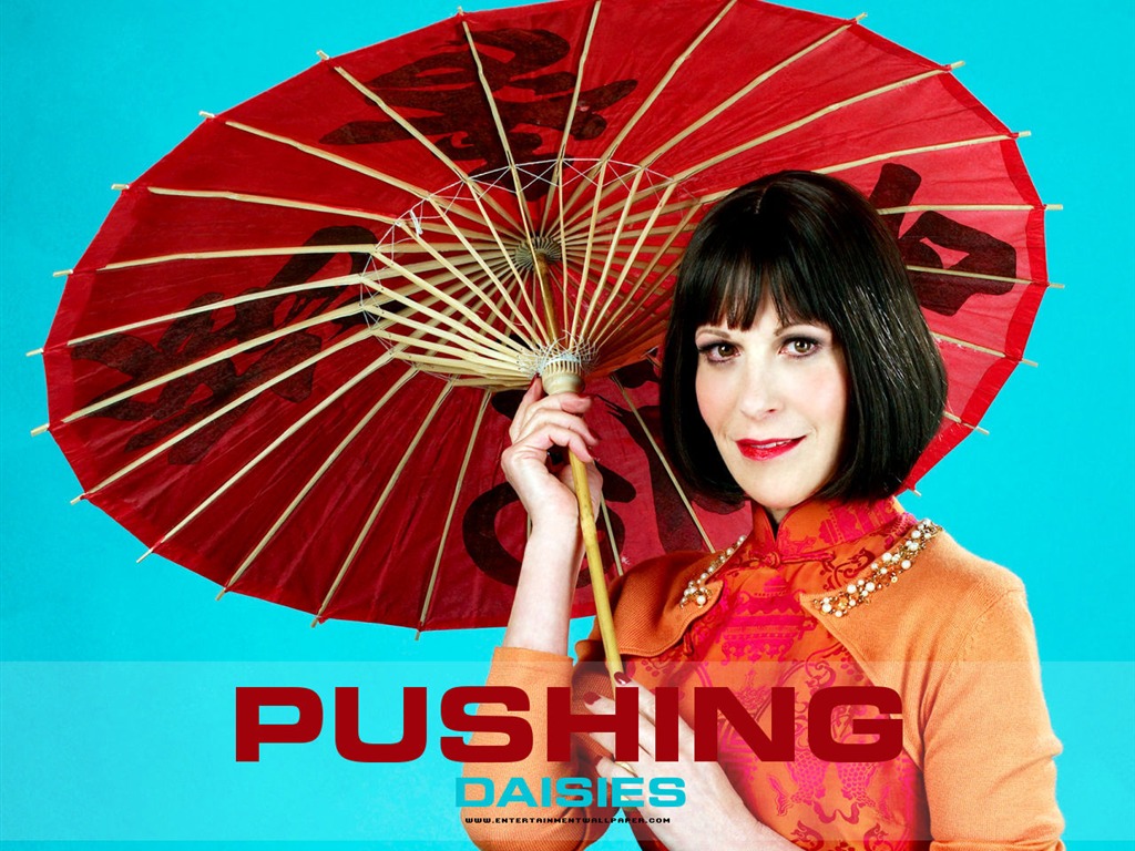 Pushing Daisies 灵指神探18 - 1024x768