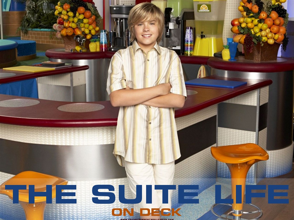 The Suite Life on Deck fondo de pantalla #7 - 1024x768