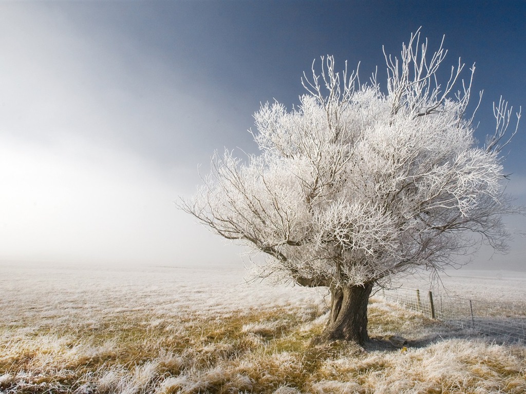 Nový Zéland je malebné krajině wallpaper #2 - 1024x768