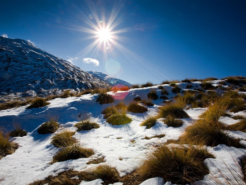 fondos de escritorio de un pintoresco paisaje de Nueva Zelanda #7 - 1024x768