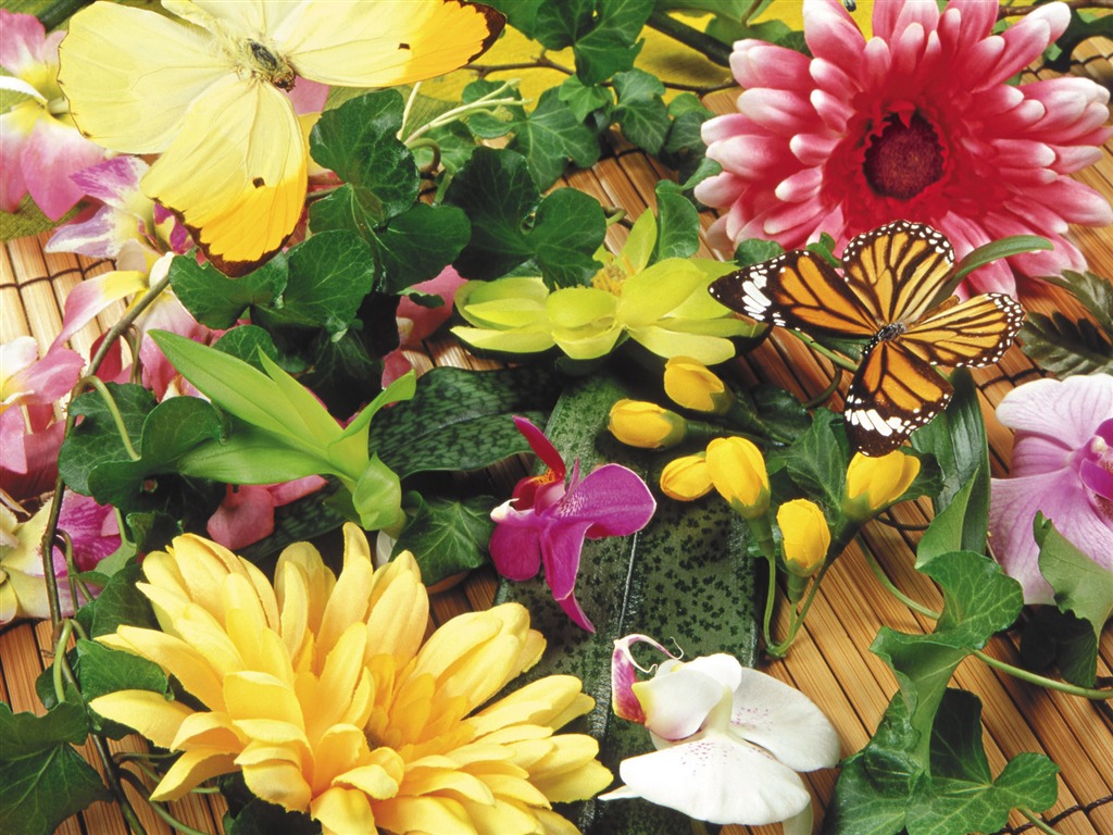 motýli a květiny tapety album (1) #19 - 1024x768