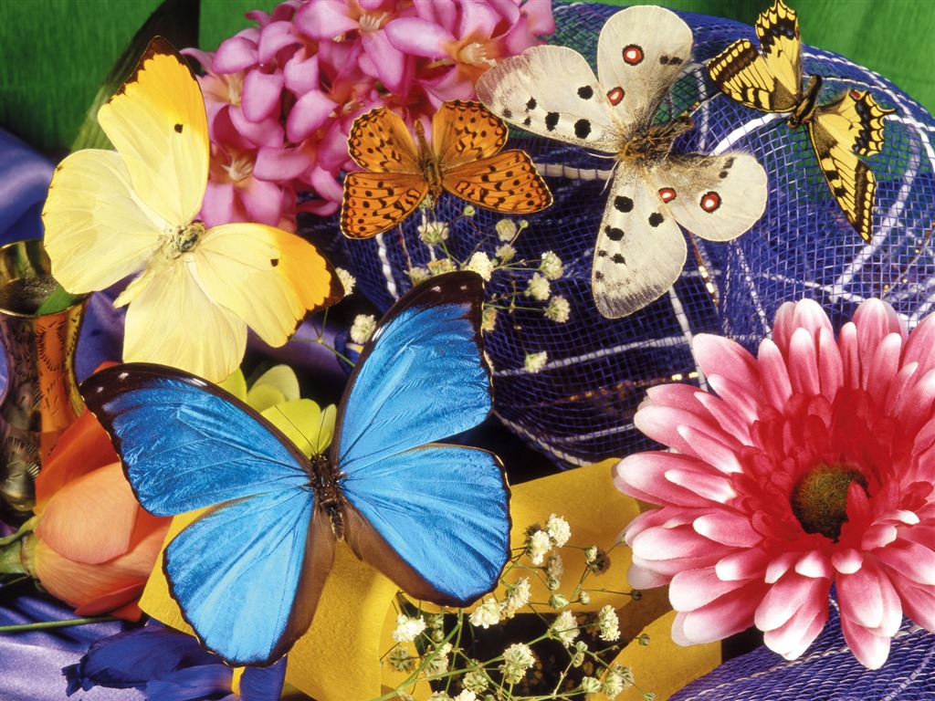 Schmetterlinge und Blumen Wallpaper Album (1) #20 - 1024x768