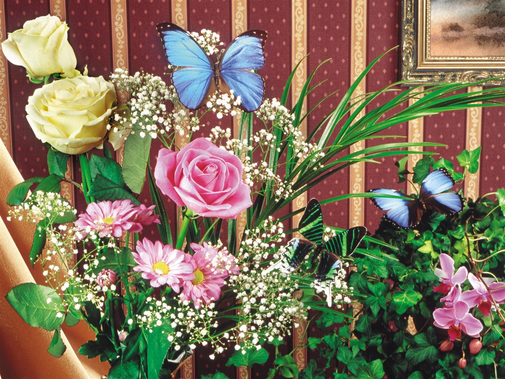 Schmetterlinge und Blumen Wallpaper Album (2) #18 - 1024x768