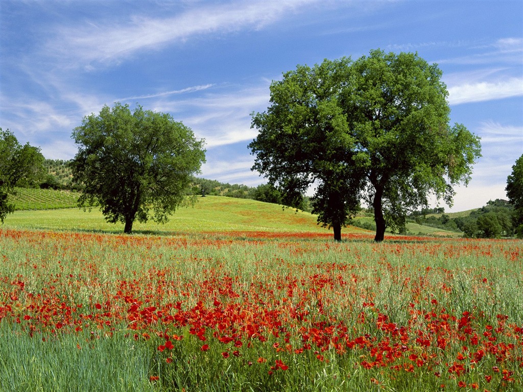 Un décor naturel magnifique Wallpaper #1 - 1024x768