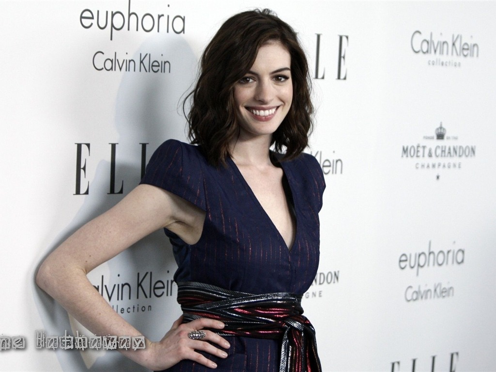 Anne Hathaway beau fond d'écran #6 - 1024x768