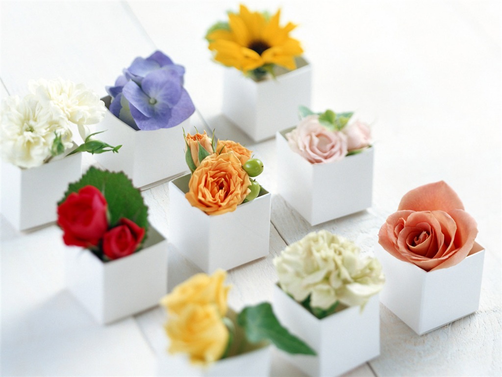 鲜花与礼物 壁纸(一)2 - 1024x768