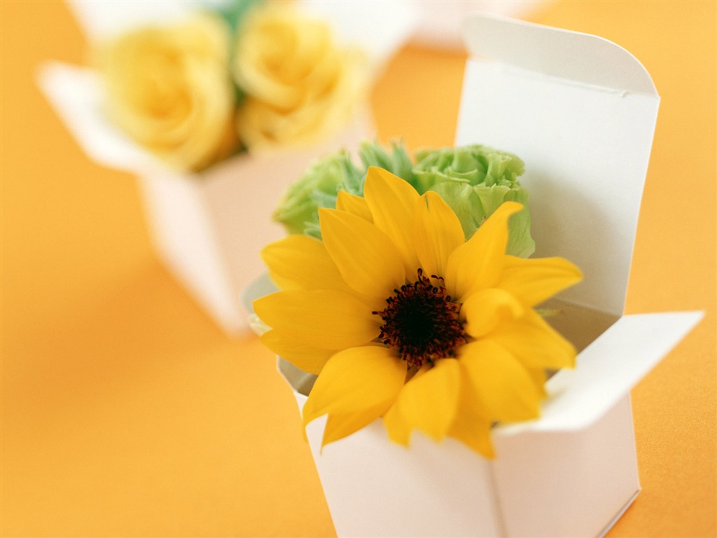 Flowers and gifts wallpaper (1) #5 - 1024x768