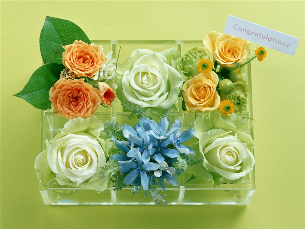 鲜花与礼物 壁纸(一)8 - 1024x768
