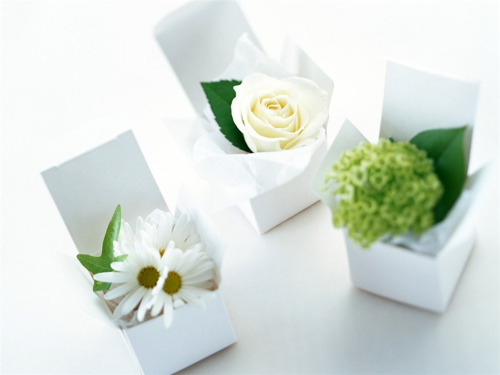 Flowers and gifts wallpaper (1) #16 - 1024x768