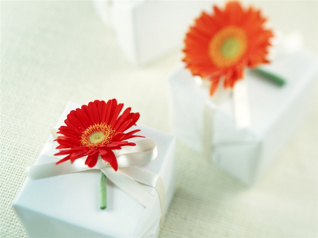 Flowers and gifts wallpaper (1) #18 - 1024x768
