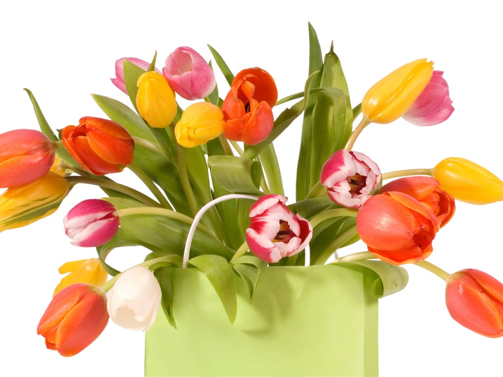 Velký tulipán tapety (1) #4 - 1024x768